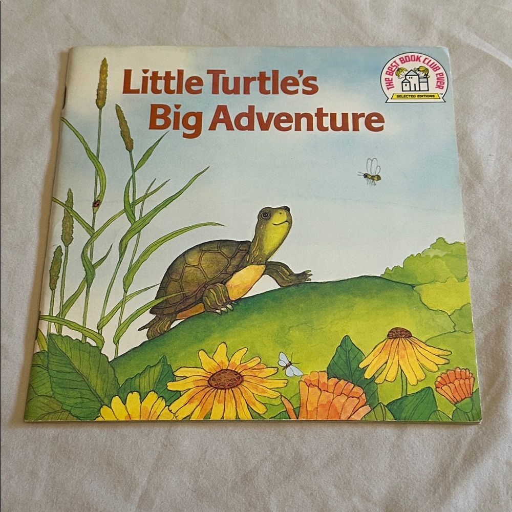 Little Turtles Big Adventure *Vintage* Children's Paperback Book